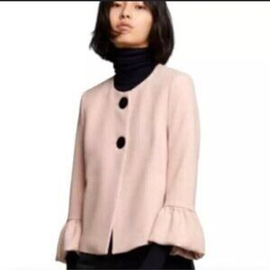 Zara Blush Ruffle Sleeve Top